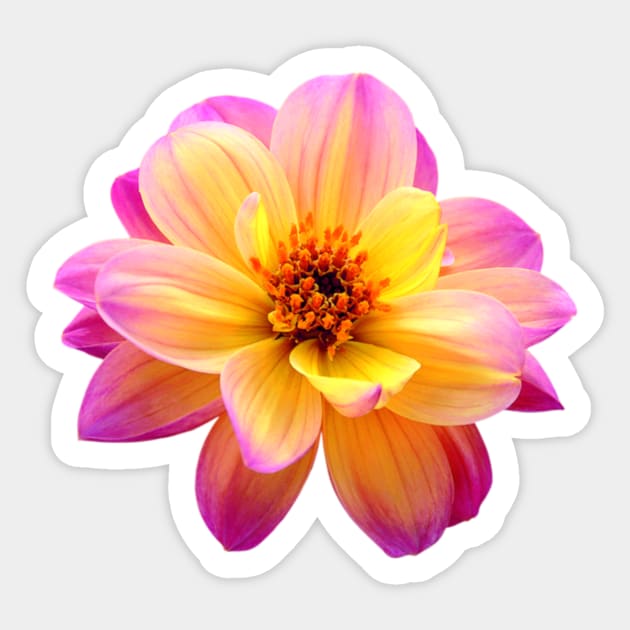 Dahlia Sticker by k&f